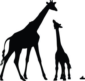 Zooshare Logo